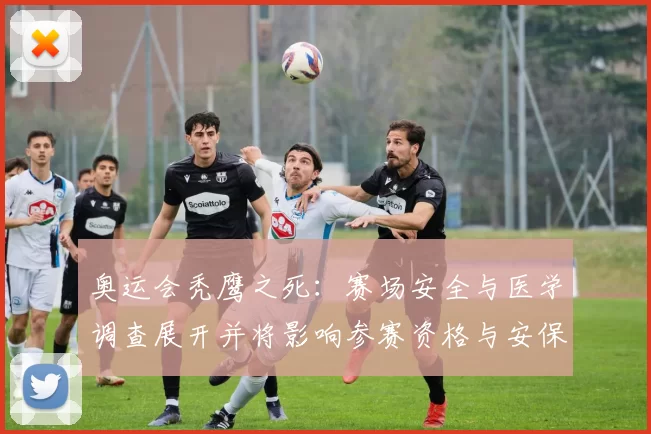 奥运会秃鹰之死：赛场安全与医学调查展开并将影响参赛资格与安保标准