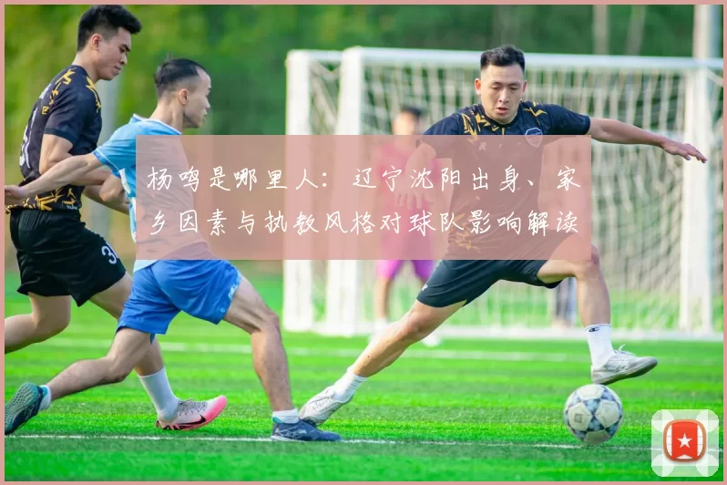 杨鸣是哪里人:辽宁沈阳出身、家乡因素与执教风格对球队影响解读