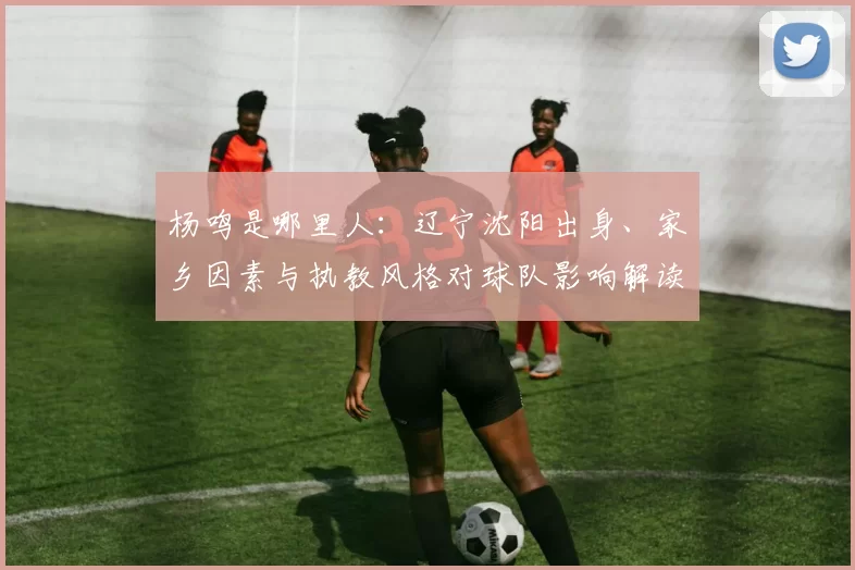 杨鸣是哪里人:辽宁沈阳出身、家乡因素与执教风格对球队影响解读