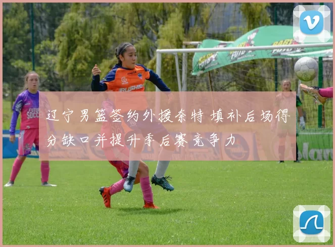 辽宁男篮签约外援奈特 填补后场得分缺口并提升季后赛竞争力