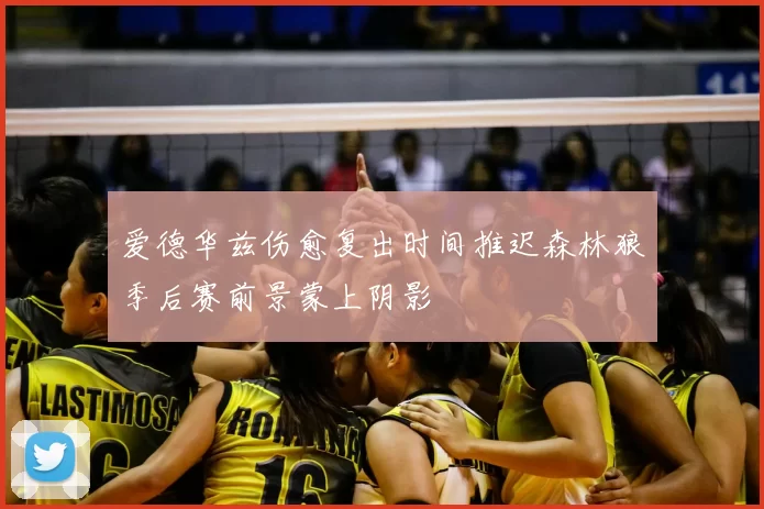 爱德华兹伤愈复出时间推迟森林狼季后赛前景蒙上阴影