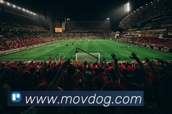 8688体育网(中国)有限公司 - 官网服务体系